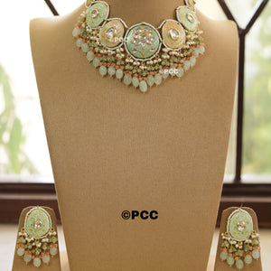 Beautiful Necklace & a pair of earrings